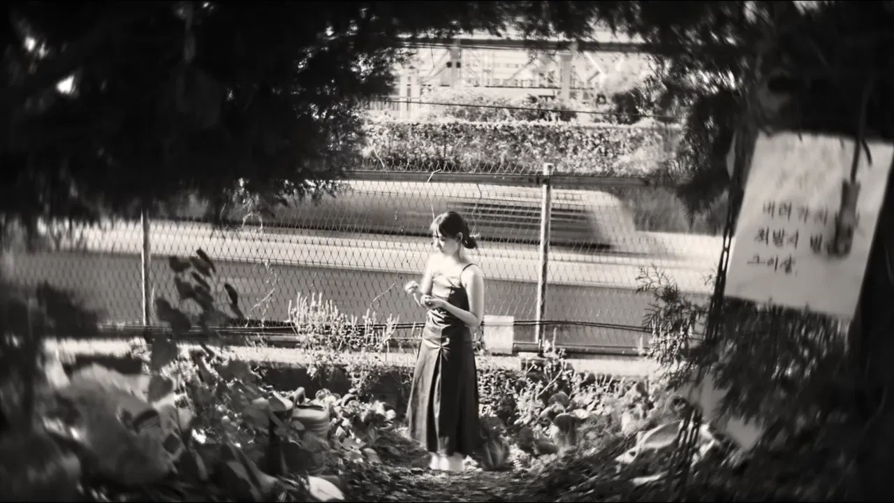 Jinx Montage backdrop