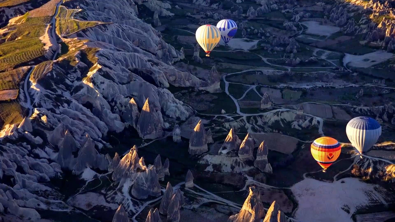 Hidden Turkey backdrop