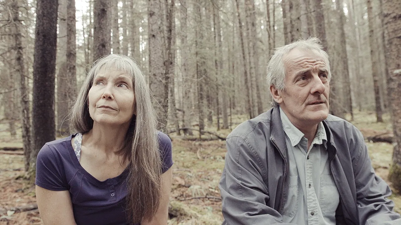 To the Mountain backdrop