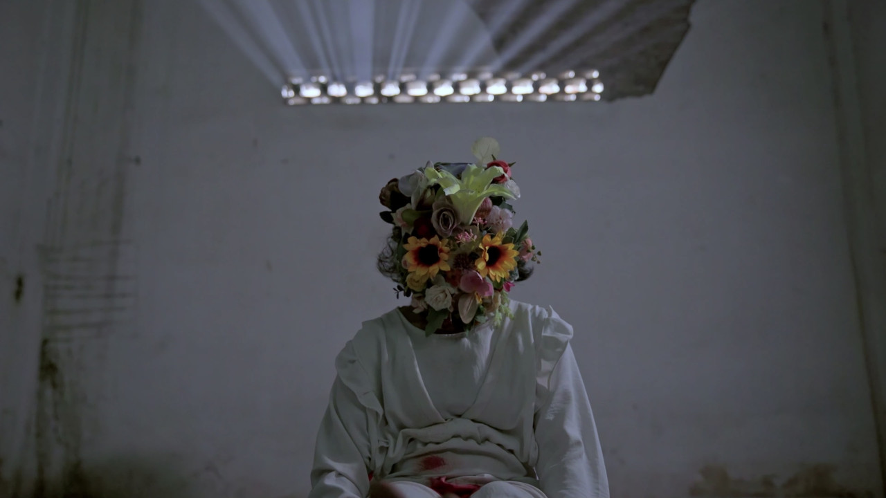 Midnight Sun backdrop