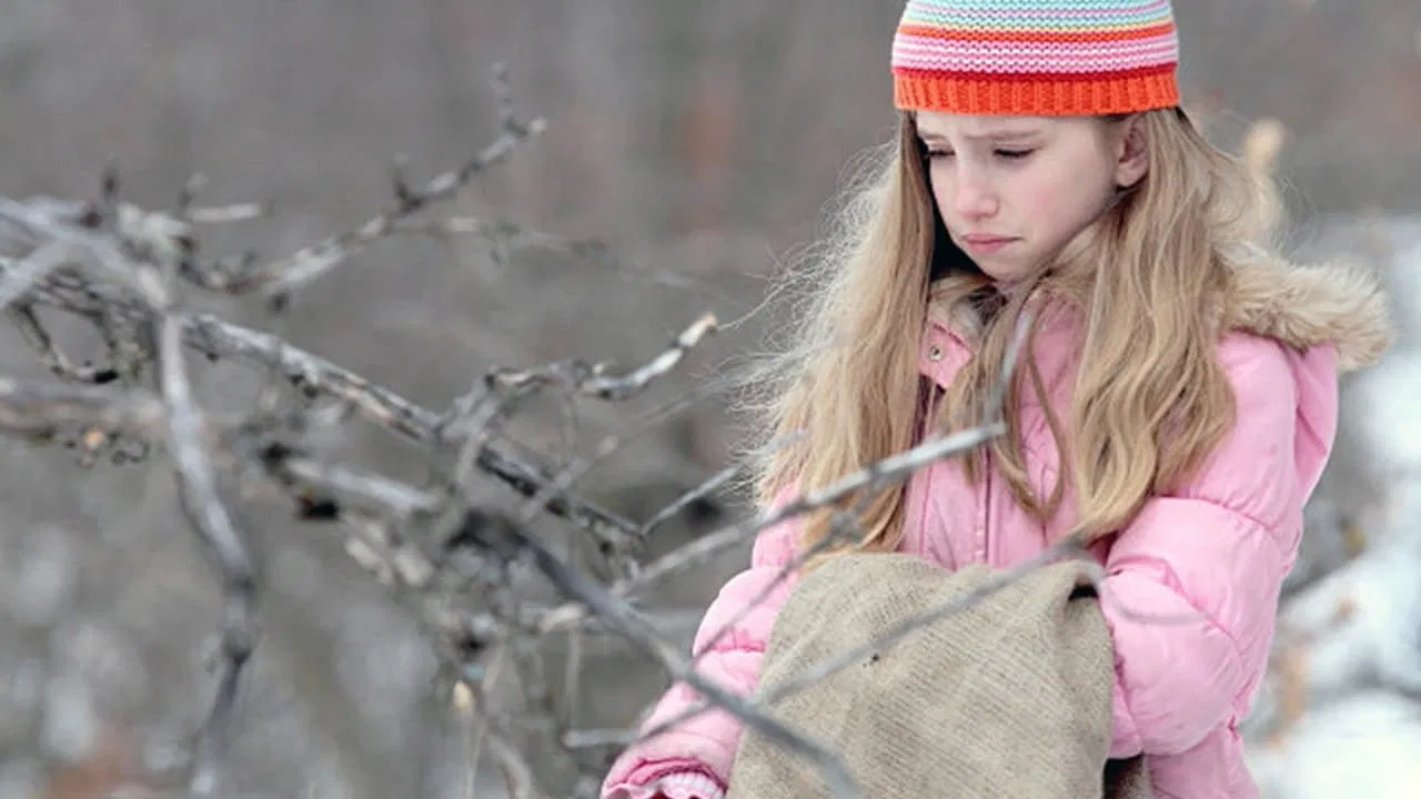 The Christmas Bunny backdrop