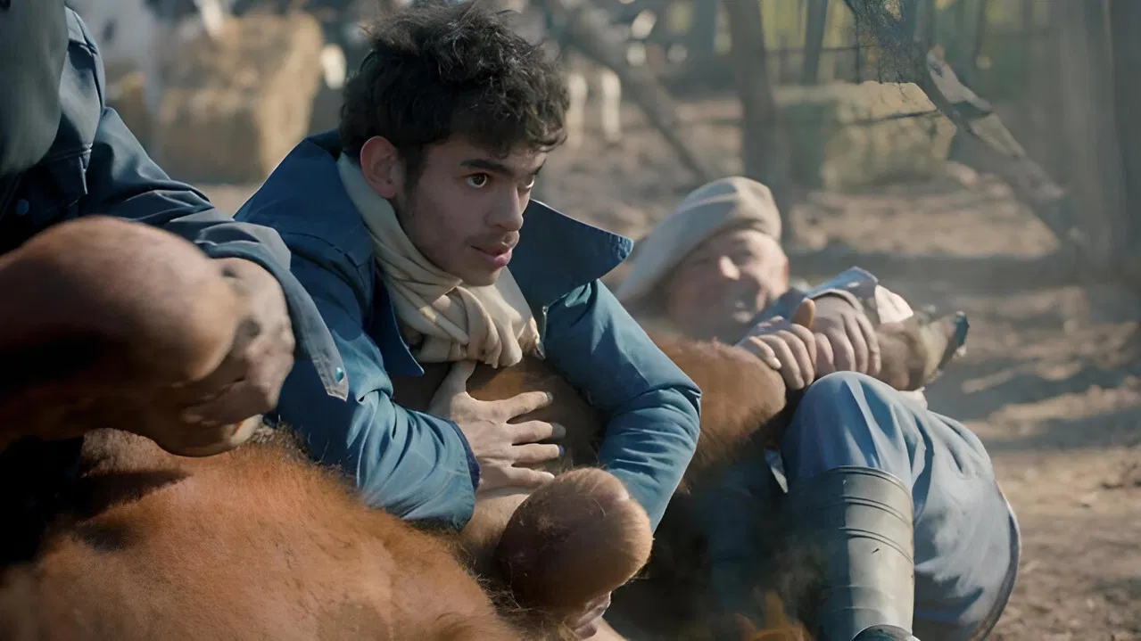 Slaughterhouse backdrop