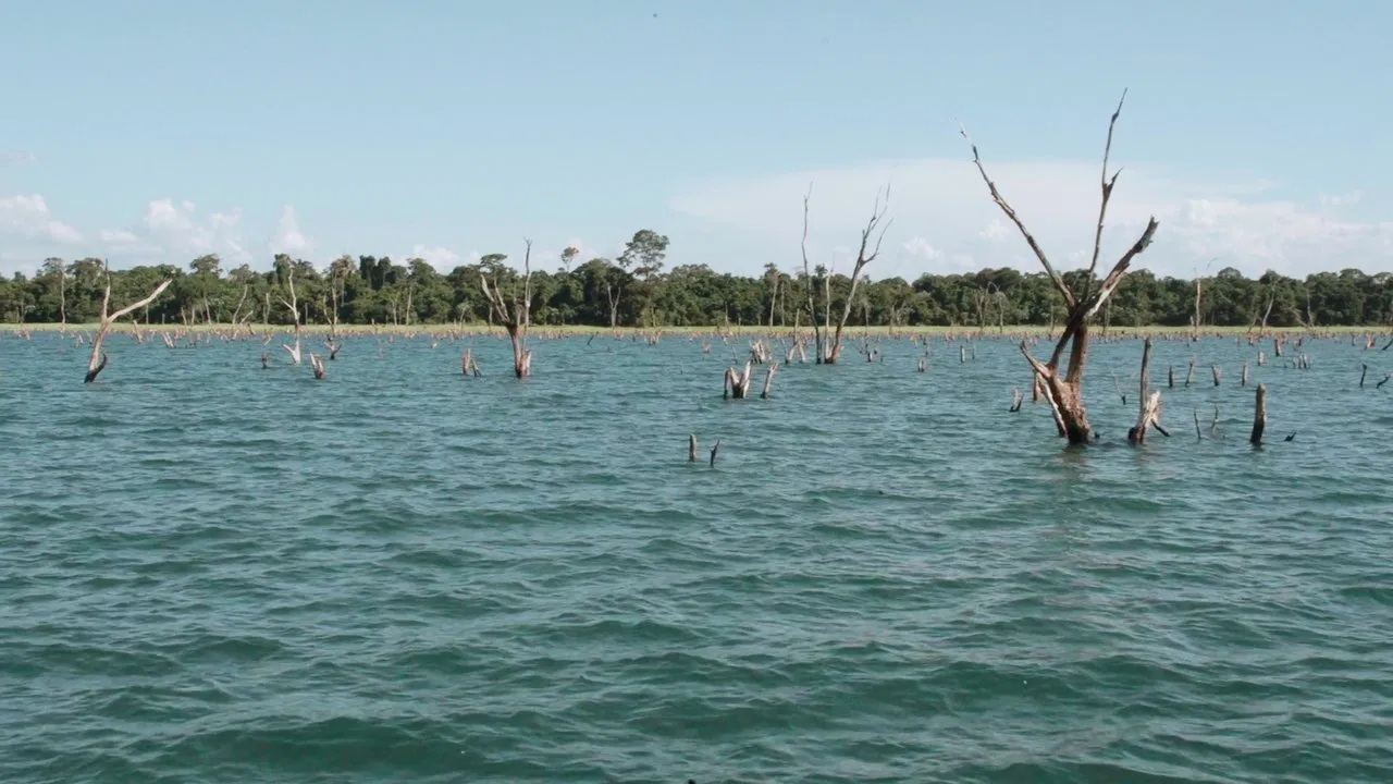 I Remember My Mom backdrop