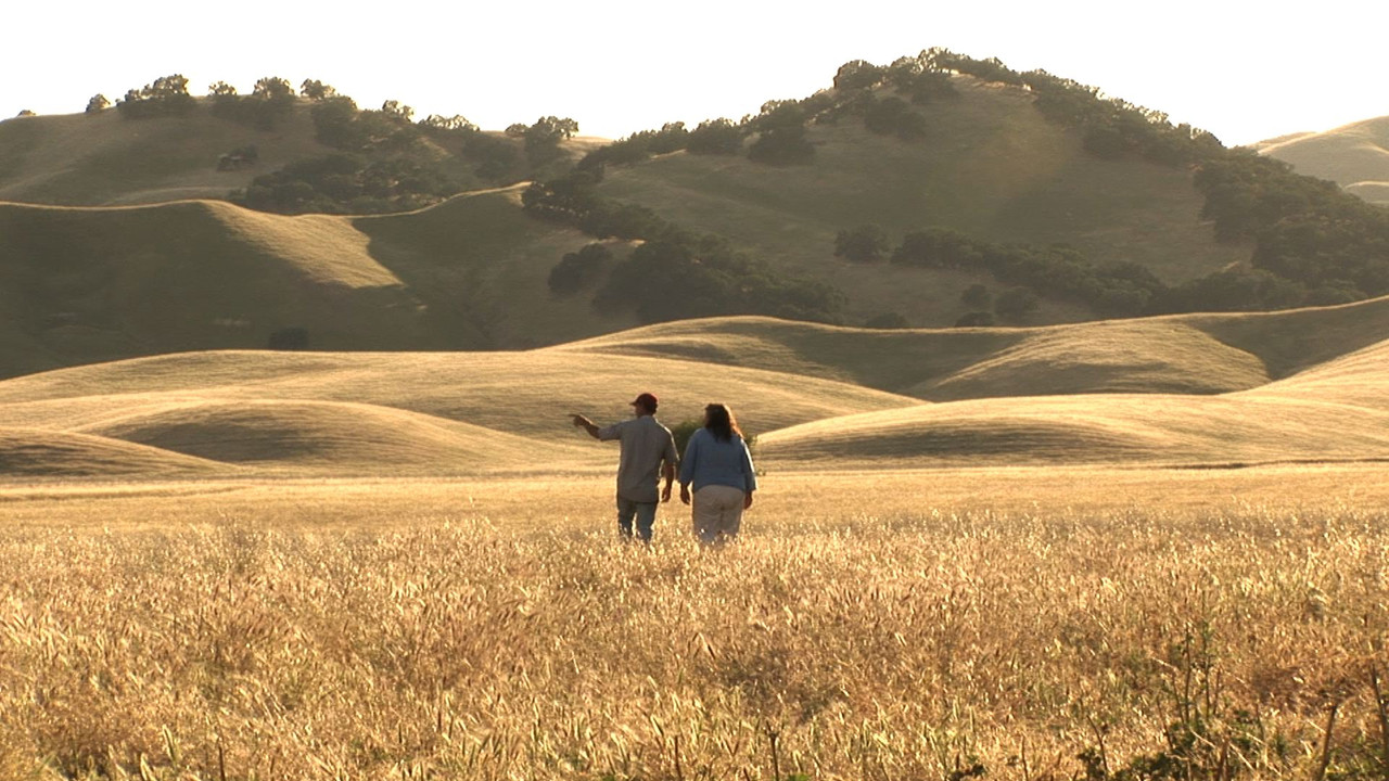 The Last Crop backdrop