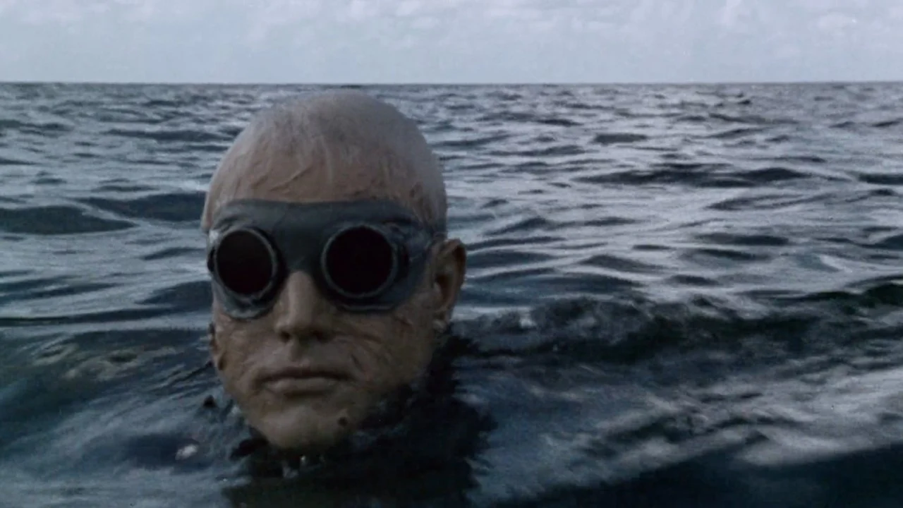 Shock Waves backdrop