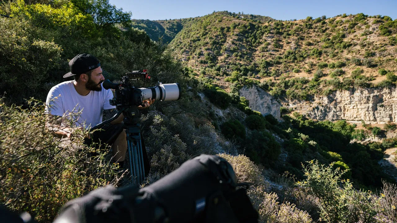 Life with Vultures backdrop