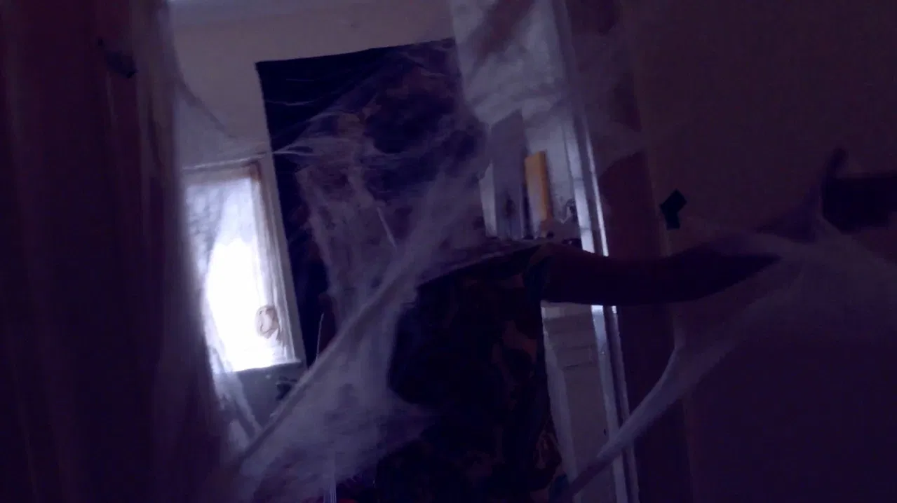 Along came a spider backdrop