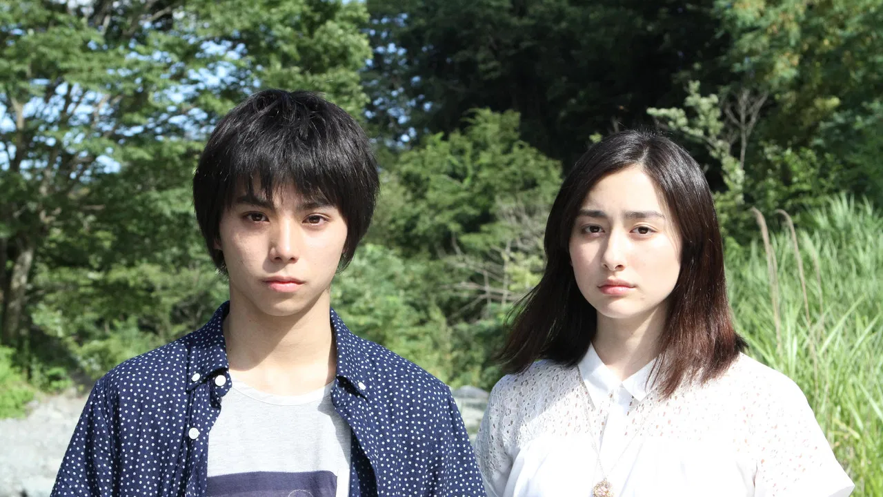 Forget Me Not backdrop