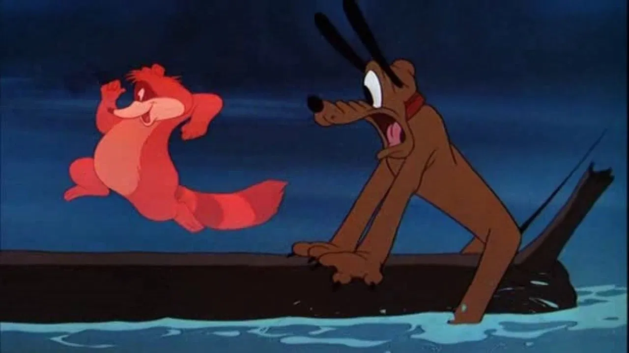 R'Coon Dawg backdrop