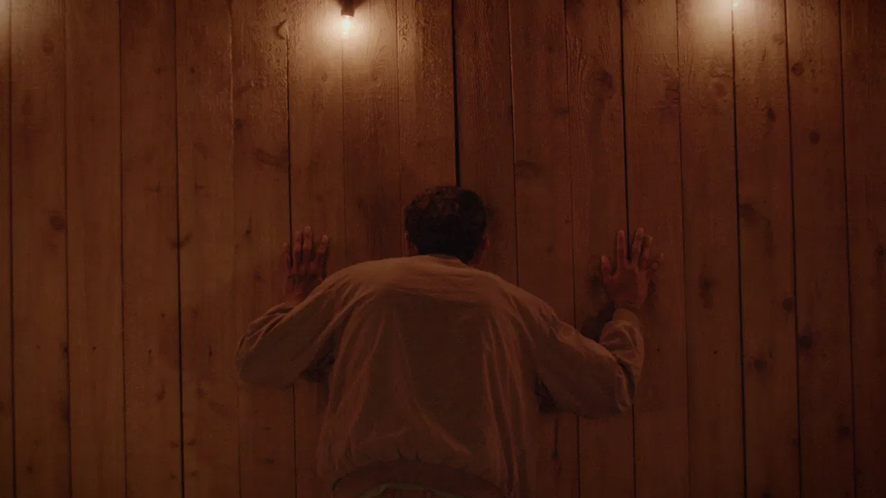 Head Like A Hive backdrop