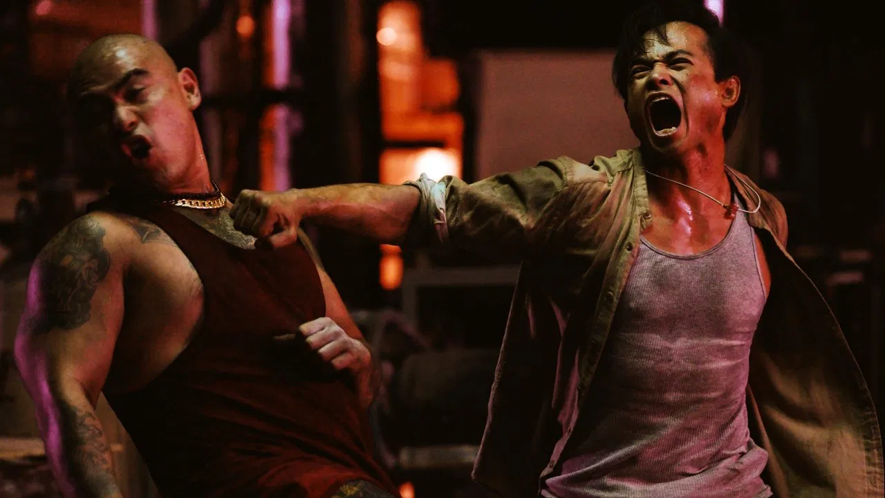 Bangkok Dog backdrop