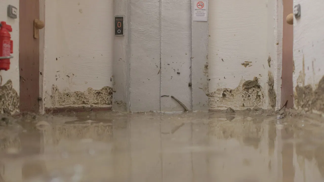 Il tempo del fiume backdrop