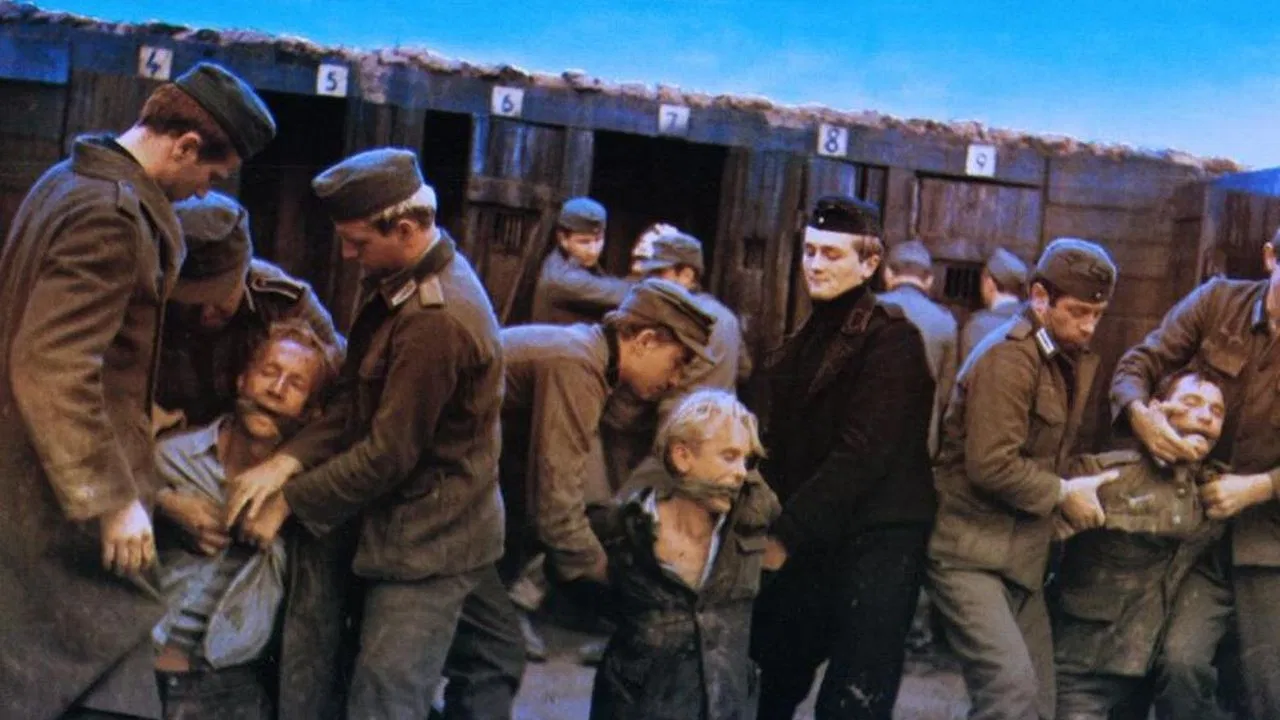 The Fifth Day of Peace backdrop