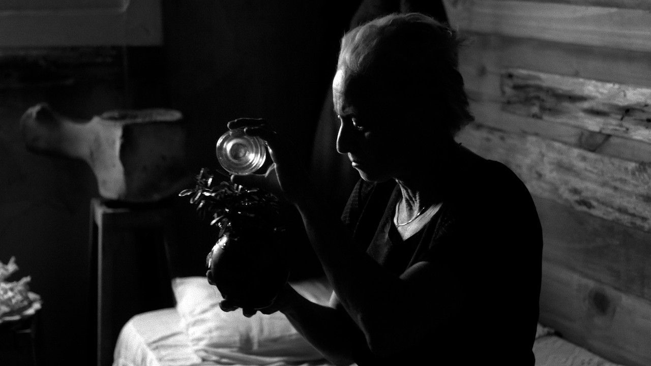 A Praia do Fim do Mundo backdrop