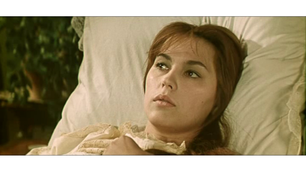 Belated Flowers backdrop