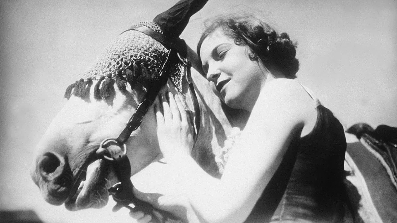 The Bartered Bride backdrop