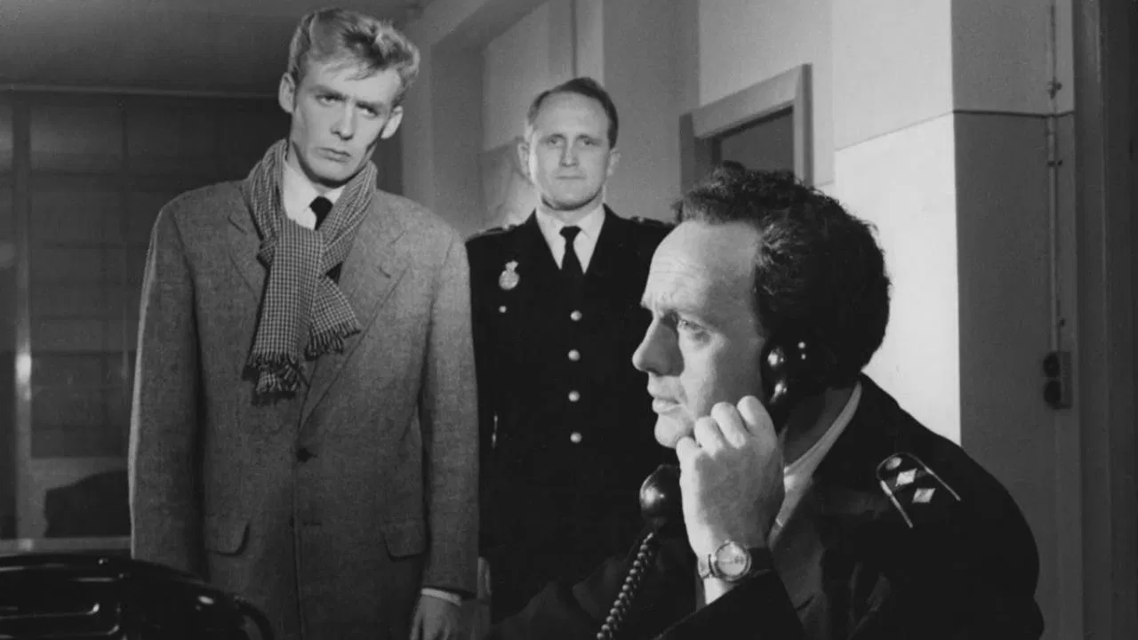 The Young Have No Time backdrop