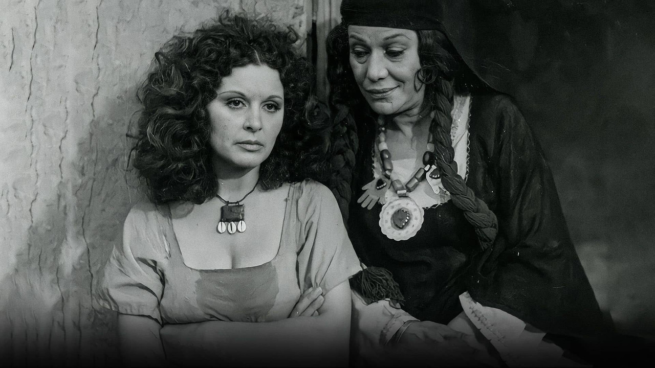 Shafiqa and Metwally backdrop