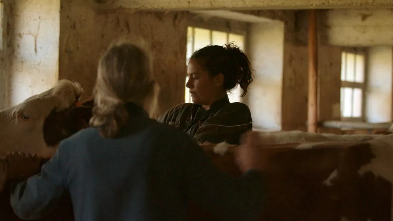 Kelly et les bergères backdrop