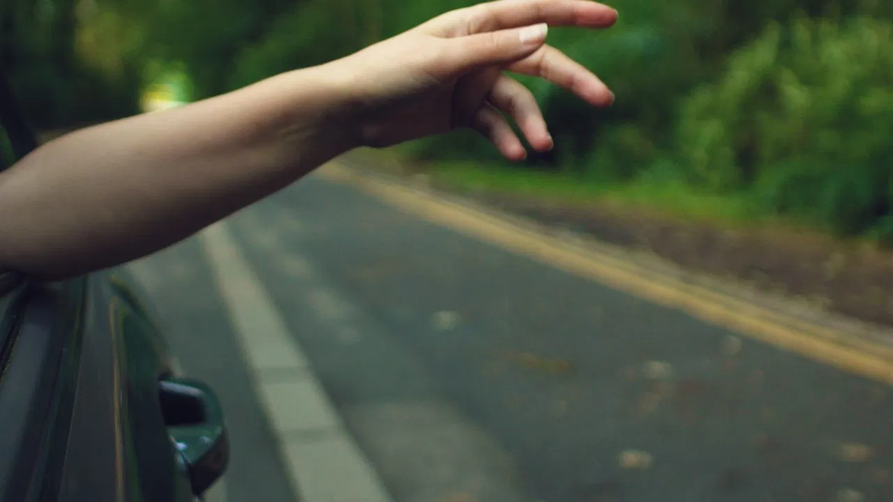 Every Kind of Fruit Bearing Tree backdrop