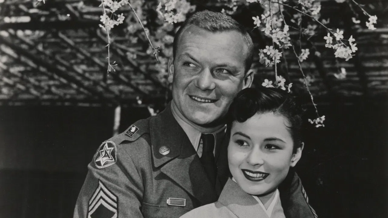 Three Stripes in the Sun backdrop