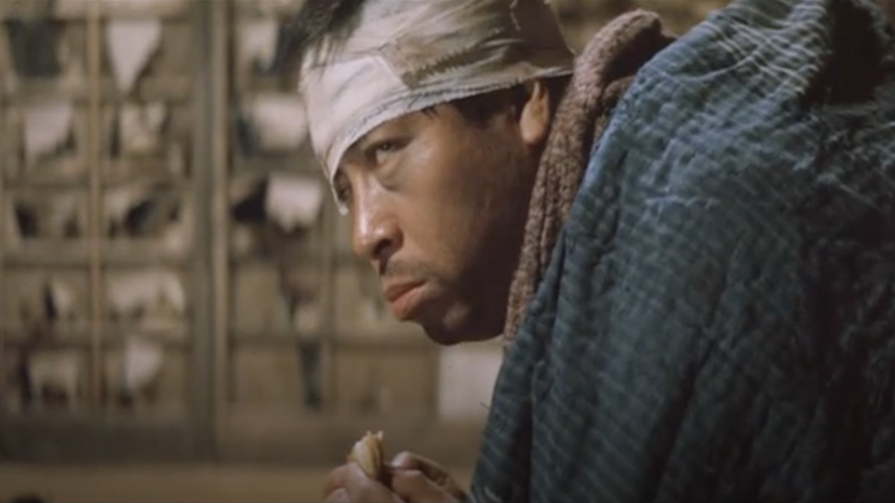 Vagabond Schemer backdrop