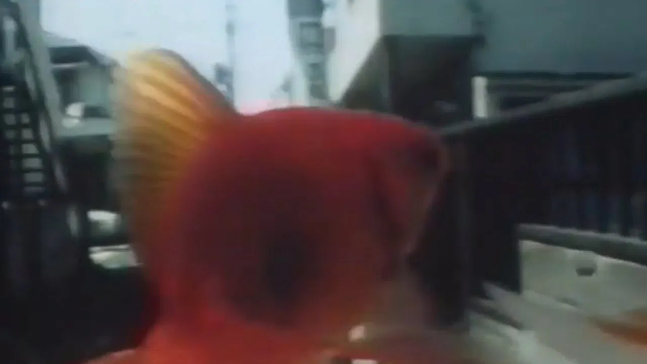 Lenz of Spinoza backdrop