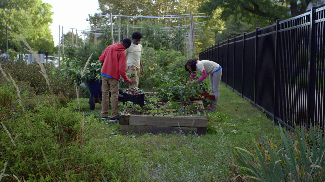 The Kids Menu backdrop