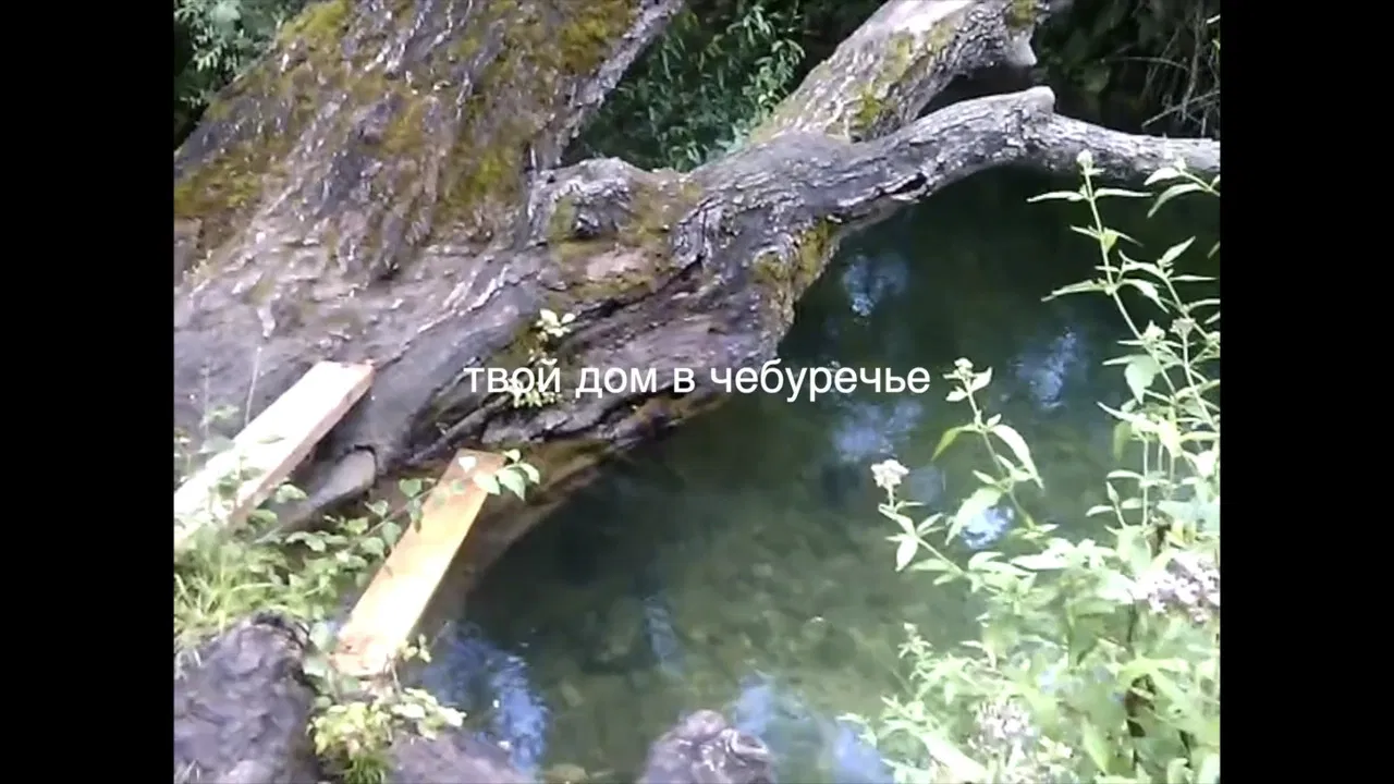 your house in the Cheburechie backdrop