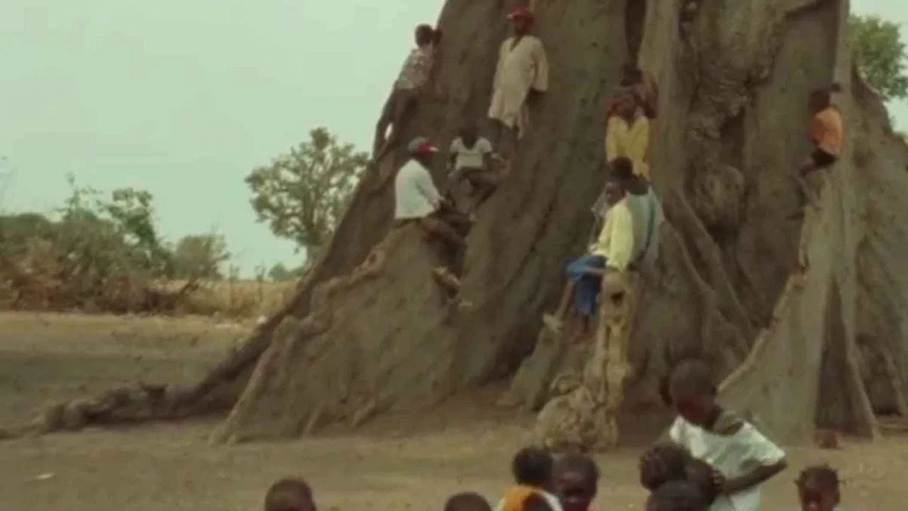 Come and Work backdrop