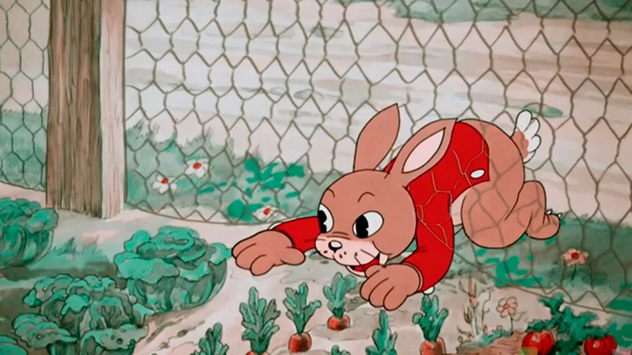 Country Boy backdrop