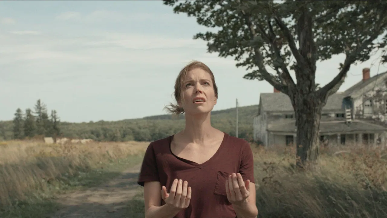 Shudderbugs backdrop