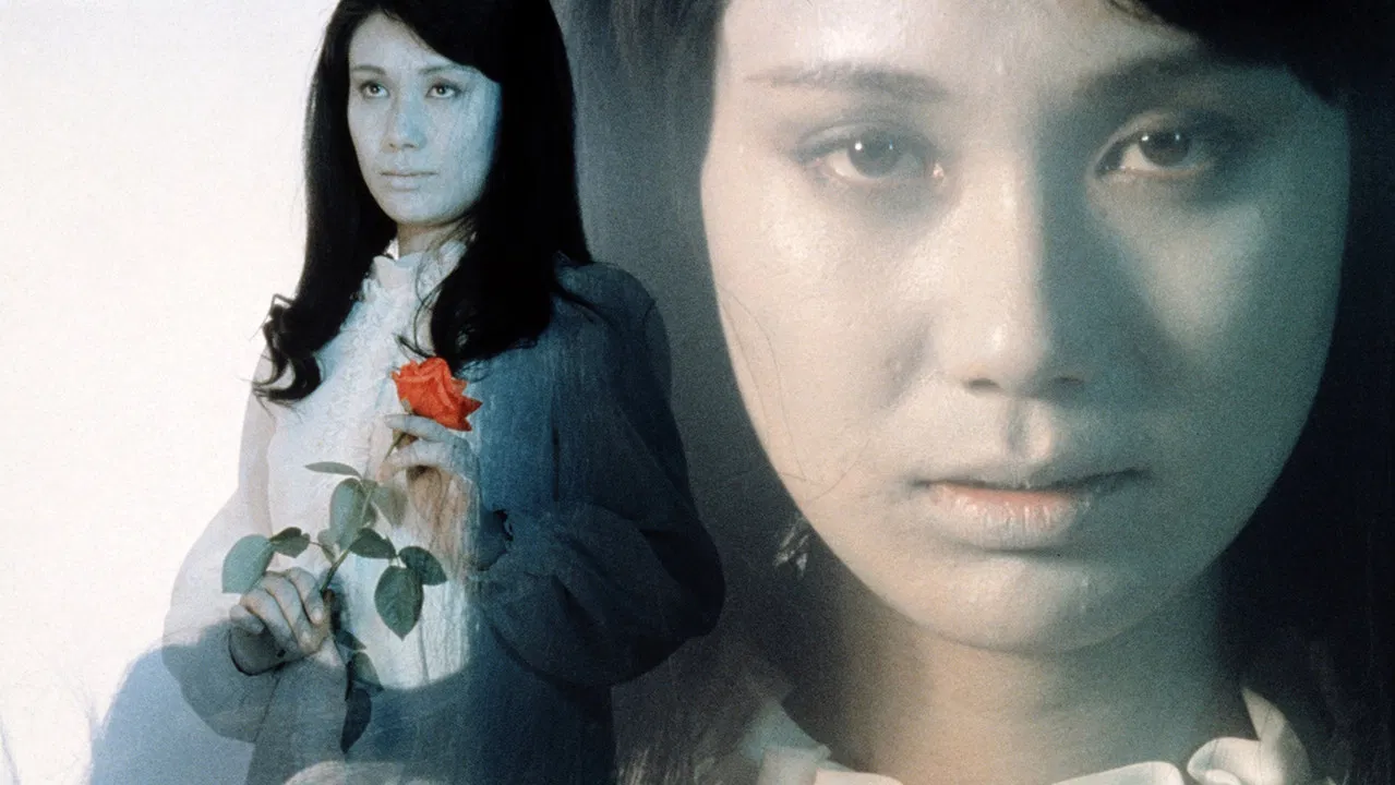 Evil of Dracula backdrop