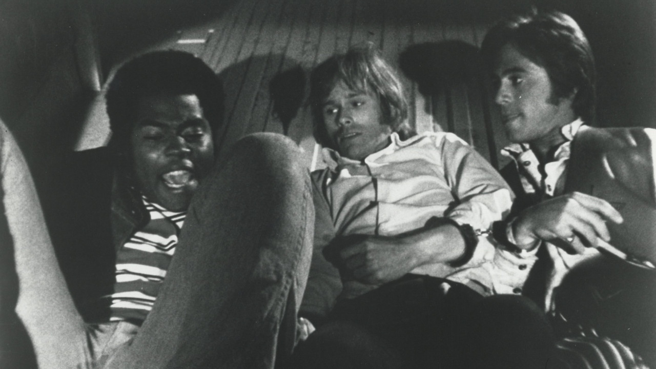 Wild in the Sky backdrop