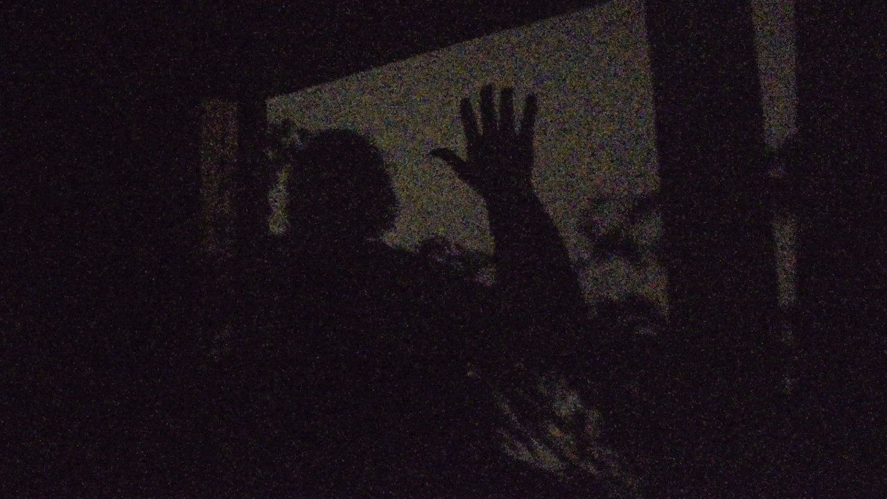 A garden of shadows backdrop