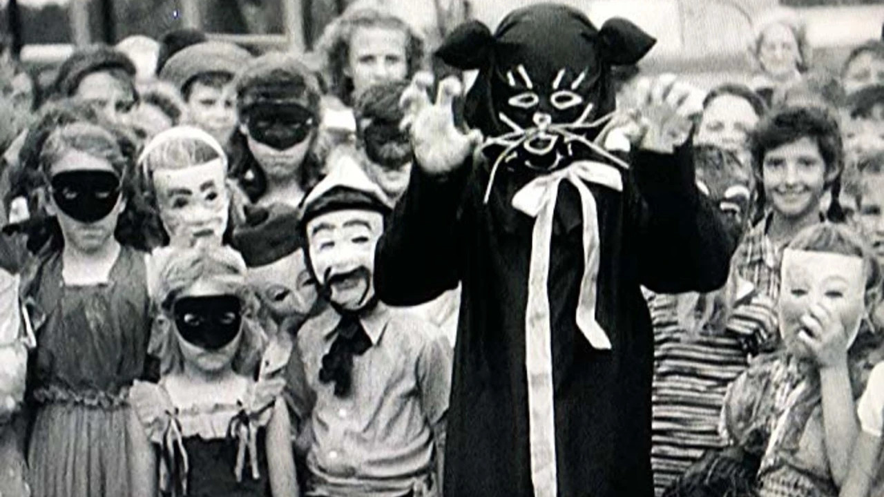 Black Cats and Broomsticks backdrop