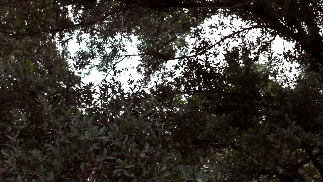 Colors (A Visual Poem) backdrop