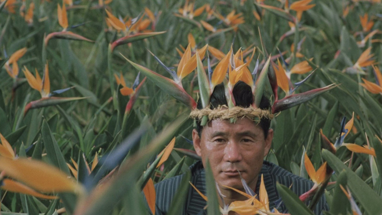 Boiling Point backdrop