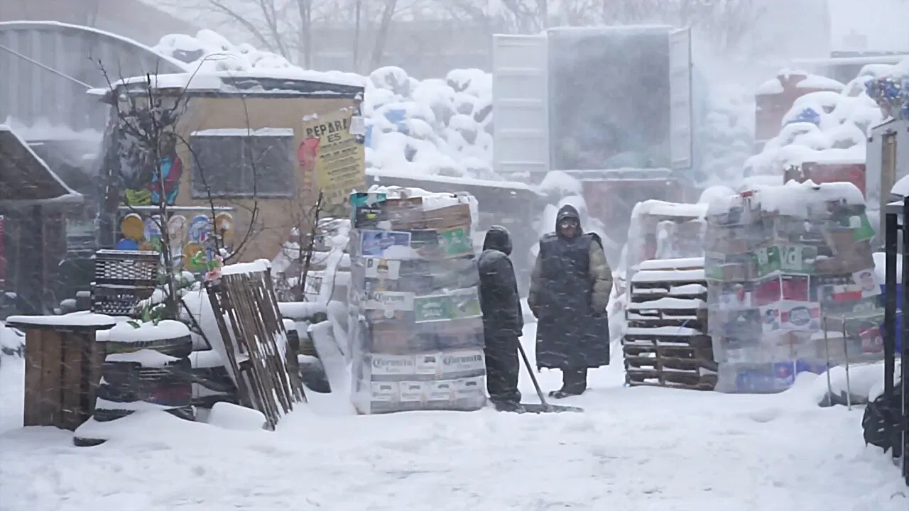 The Fourth Kingdom backdrop