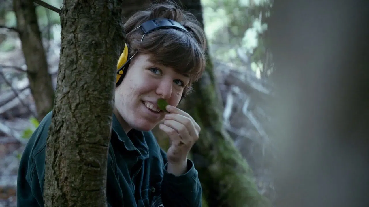 Wer sind wir? backdrop