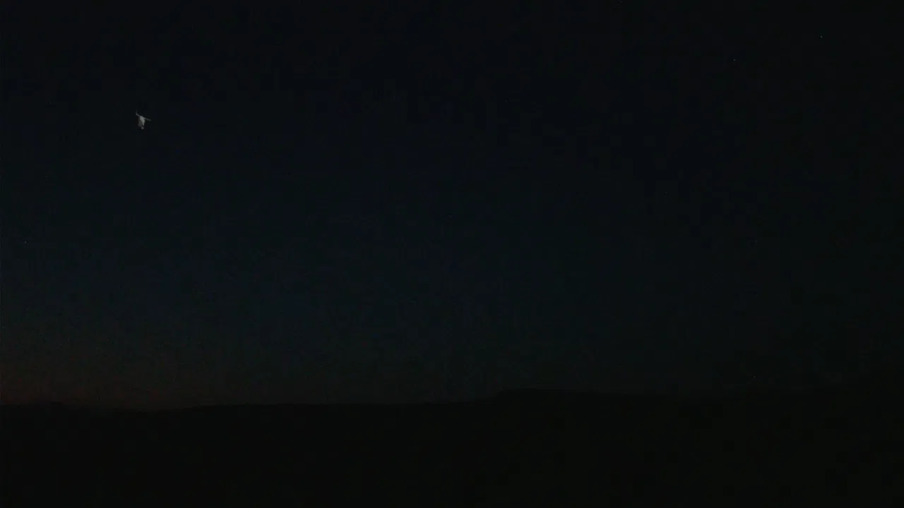The Skull and the Arm backdrop