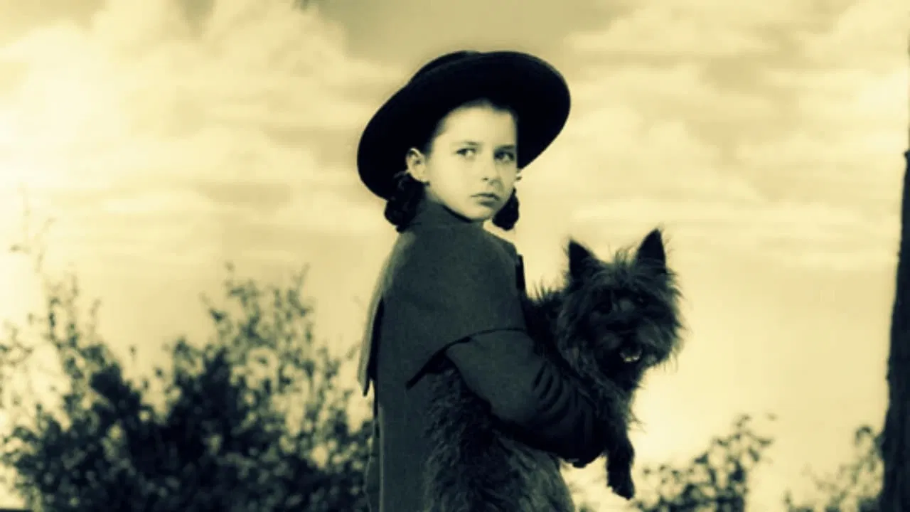 Bad Little Angel backdrop