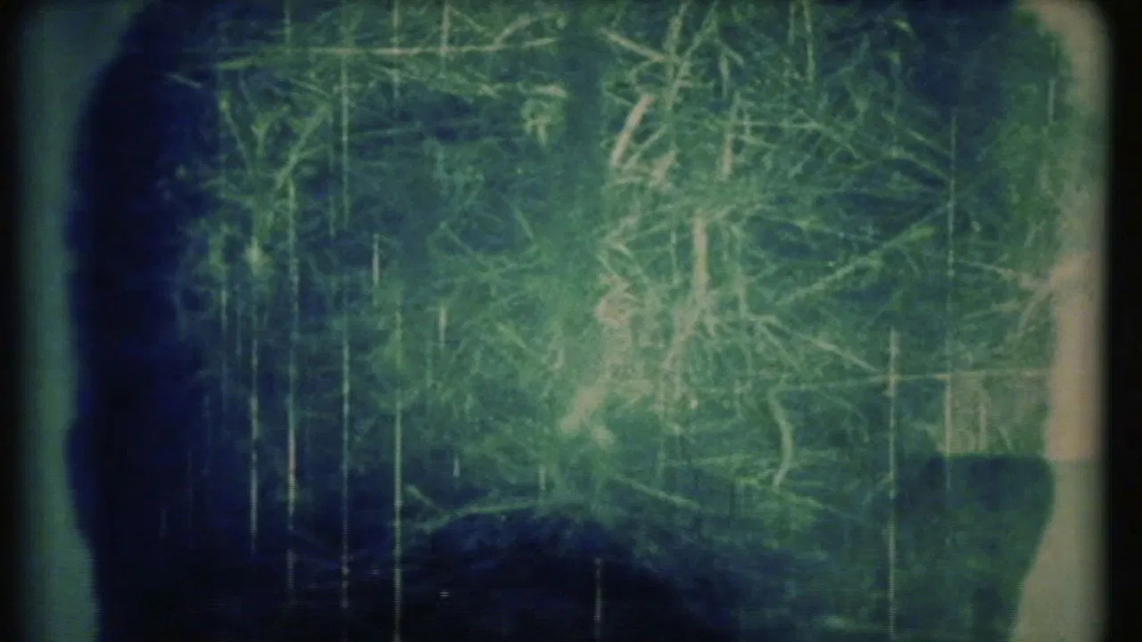 At a Same Time, Exposed Both Sides backdrop