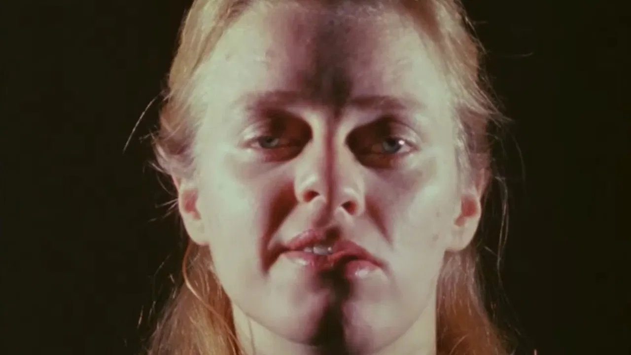 Zorns Lemma backdrop