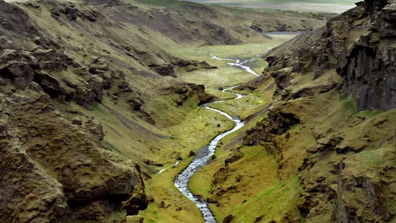 Terre, Les Forces du Vivant backdrop