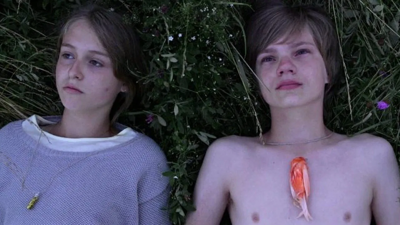 Little Bird backdrop