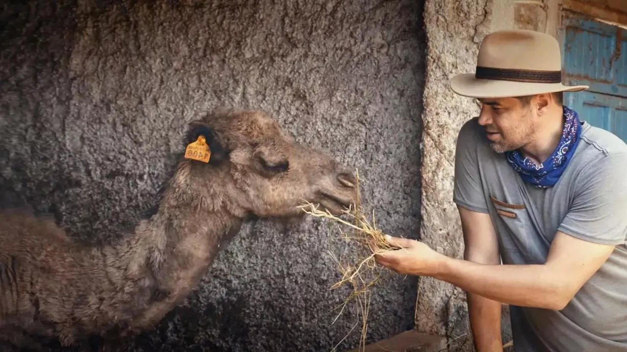 The New Family Member backdrop