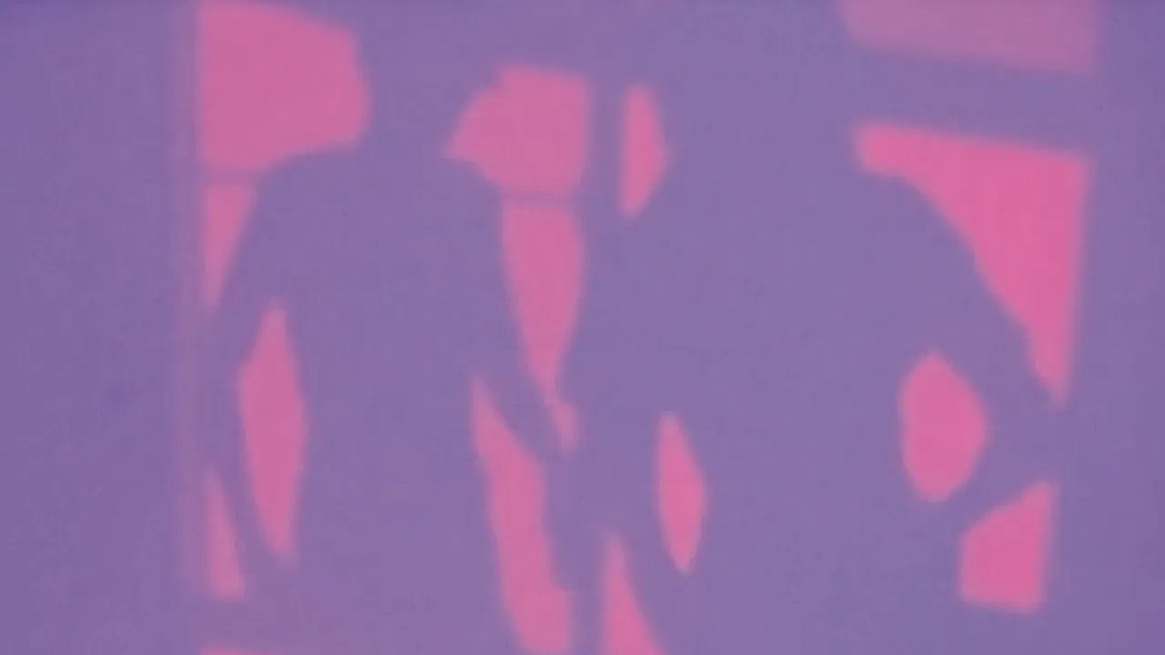 Lucy Robin Bat Kite backdrop