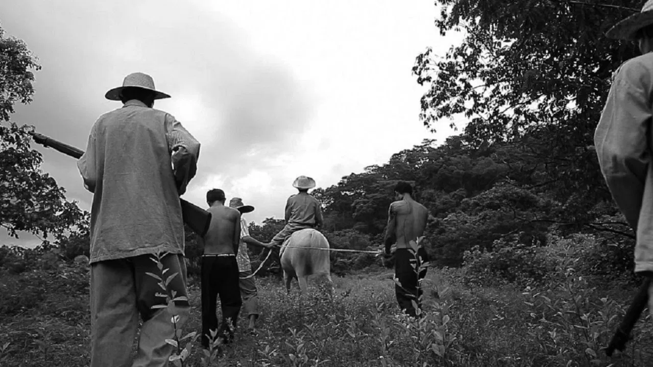 Prologue to the Great Desaparecido backdrop