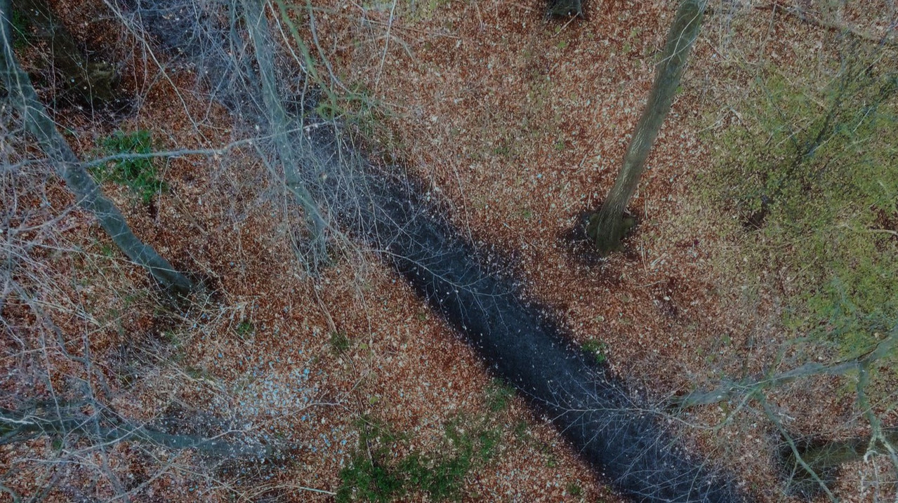 The Sound Man backdrop